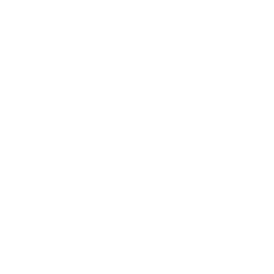 Simple house outline symbol
