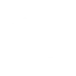 svg-export-3x-9 (1)